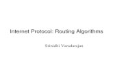 Internet Protocol: Routing Algorithms - Undergraduate Courses