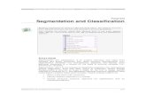 Tutorial Segmentation and Classification - UW Faculty Web Server