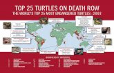 TOP 25 TURTLES ON DEATH ROW