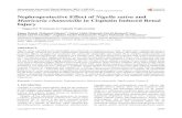 Nephroprotective Effect of Nigella sativa and Matricaria