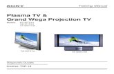Plasma TV & Grand Wega Projection TV