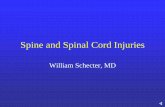 Spine and Spinal Cord Injuries - San Francisco General Hospital