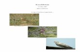 China birding report template
