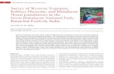Survey of Western Tragopan, Koklass Pheasant, and Himalayan Monal