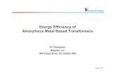 Energy Efficiency of Amorphous Metal Based Transformers