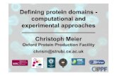 Defining protein domains - computational and experimental approaches