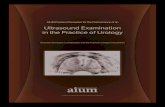 Ultrasound Examination in the Practice of Urology - AIUM