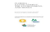 FLORIDA - SAVING ENERGY, THE ENVIRONMENT, AND MONEY