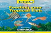 Feeding your Tropical Fish - Federation of British Aquatic Societies