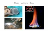 Global Methane Cycle