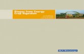 Biogas from Energy Crop Digestion - Biogas | Home page