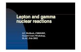 Lepton and gamma nuclear reactions