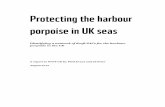 Protecting the harbour porpoise in UK seas