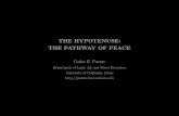 THE HYPOTENUSE: THE PATHWAY OF PEACE