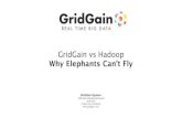 GridGain vs Hadoop - QCon London 2013 Conference