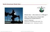 Shale Gas Abundance or Mirage? Why The Marcellus Shale Will