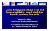 Living Eucalyptus obliqua trees and logs as habitat for wood