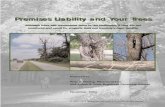 Premises Liability and Your TreesPremises Liability and Your Trees