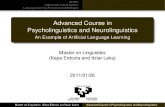 Advanced Course in Psycholinguistics and Neurolinguistics
