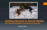 For Animal Shelters and Rescue Groups