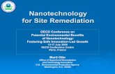 Nanotechnology for Site Remediation