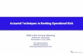 Actuarial Techniques in Banking Operational Risk