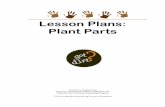 Lesson Plans: Plant Parts - The official website of Brown County