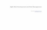 Agile Web Development and Risk Management