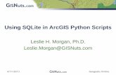 Using SQLite in ArcGIS Python Scripts - Louisiana