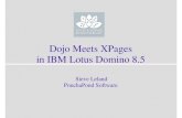 Dojo Meets XPages in IBM Lotus Domino 8