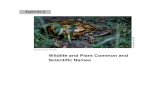 Wildlife and Plant Common and Scientific Names