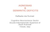 AGNOSIAS SEMANTIC DEFICITS - SCS - School of Cognitive Sciences - IPM