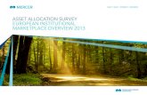 asset allocation survey european institutional marketplace overview 2013