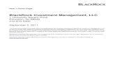 BlackRock Investment Management, LLC - Online Services