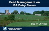 Feed Management on PA Dairy Farms Kelly O'Neill