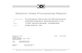 Seismic Data Processing Report - MRT Home