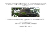 Possible strategies/practices in reducing wild animal (Primate