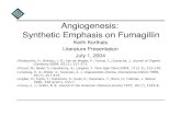 Angiogenesis: Synthetic Emphasis on Fumagillin · 2004. 7. 1. · •The ﬁrst angiogenesis-stimulating medicine is a prescription gel called Regranex (Ortho-McNeil Pharmaceuticals)