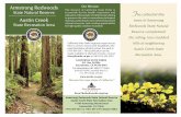 Armstrong Redwoods Our Mission State Natural Reserve T