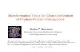 Bioinformatics Tools for Characterization of Protein-Protein
