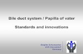 Bile duct system / Papilla of vater Standards and innovations