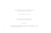 Economics of Sham Litigation: Theory, Cases, and Policy