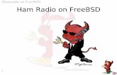 Hamradio on FreeBSD - db