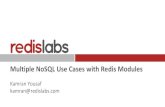 Multiple NoSQL Use Cases with Redis Modules...2 About Redis Open source. The leading in-memory database platform, supporting any high performance OLTP or OLAP use case. • The open