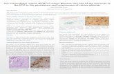 The extracellular matrix (ECM) in canine gliomas: the role of the … · 2015. 10. 16. · • HSs: regulate the fibroblast (FGF), platelet derived (PDGF) and vascular endothelial