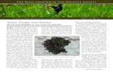 Texas’ Flora and Fauna...Texas’ Flora and Fauna: Wind and Wildlife in the Texas Panhandle Excellence in Wildlife Stewardship Through Science and Education Number 170 • July 2011