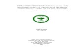 CHARACTERIZATION OF LOQUAT (Eriobotrya japonica Lindl …prr.hec.gov.pk/jspui/bitstream/123456789/3631/1/364S.pdf · 2018. 7. 23. · CHARACTERIZATION OF LOQUAT (Eriobotryajaponica