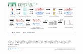 An integrative strategy for quantitative analysis of the N … · 2017. 8. 24. · RESEARCH Open Access An integrative strategy for quantitative analysis of the N-glycoproteome in