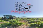 December 2020 - Viña Elena · 2020. 12. 31. · 4 The first harvest of the year The first harvest in our region took place on Tuesday 4th August 2020. Our plan was to use the ripe