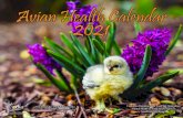 Avian Health Calendar 2021...Avian Health Calendar 2021 Not for resale - Prohibida su venta Photo Credit: Steven Vance PhotographyAvian Health Calendar 2021 CALIFORNIA DEPARTMENT OFCALIFORNIA